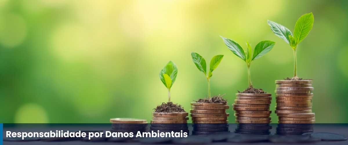 danos ambientais