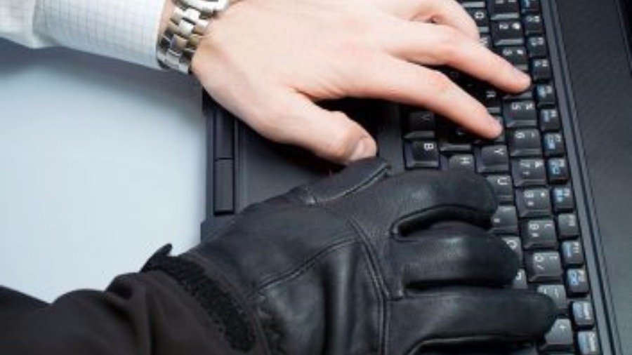 A cada dia, Seguradora evita 2,7 milh�es em fraudes