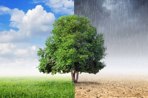 Zurich desenvolve a��es para ajudar empresas com os riscos da mudan�a