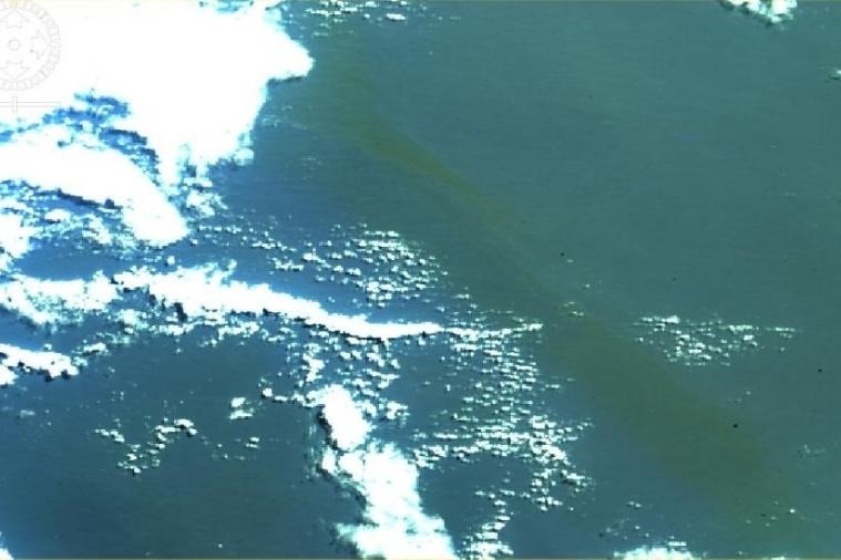 Exemplo de Sinistro - Ambiental 2