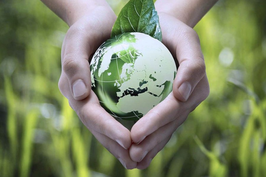 Seguro Ambiental n�o � uma licen�a para poluir